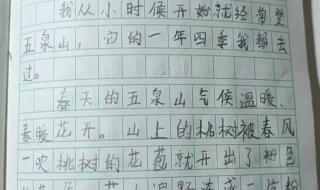 我的同桌,作文500字 我的同学三年级作文