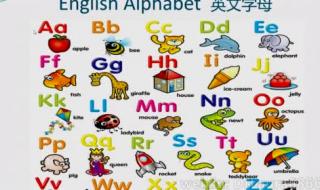 26个字母对应的所有音标 英语字母音标发音26个