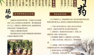 三黄药材种植方法 中草药的种植